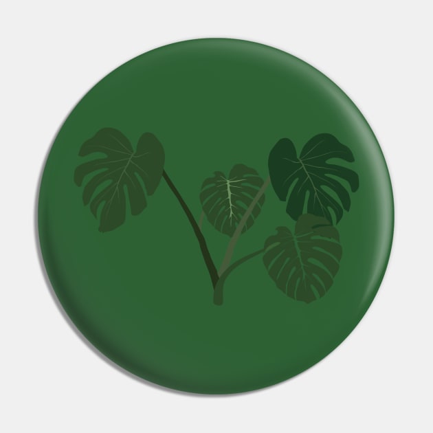 Monstera deliciosa Pin by daidai