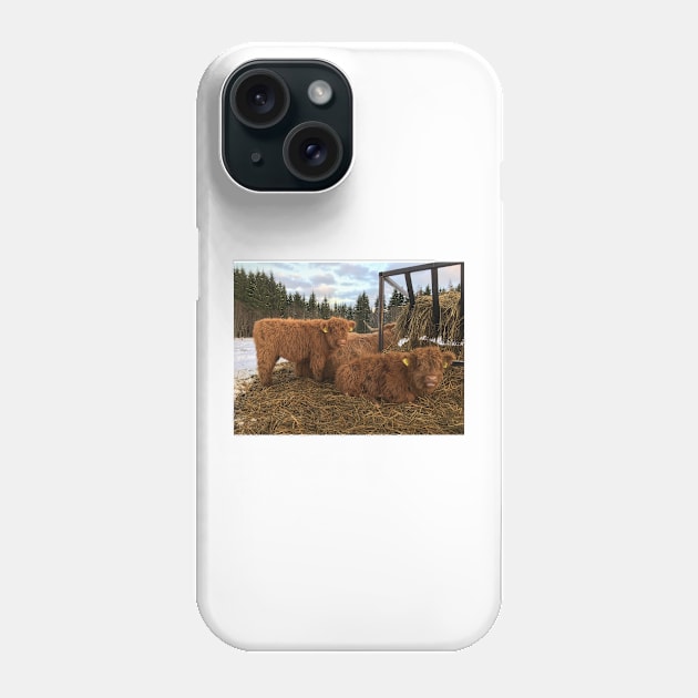 Scottish Highland Cattle Calves 1616 Phone Case by SaarelaHighland