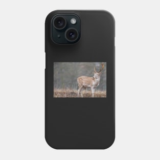 Majestic lone fallow deer Phone Case