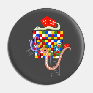 Snake and Ladder Pin