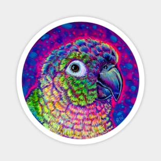 Greek Cheeked Conure Magnet