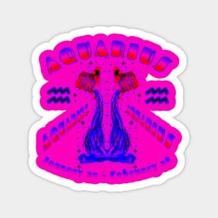 Aquarius 9a Pink Magnet