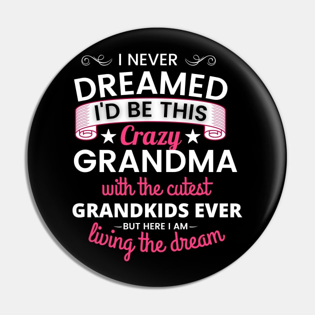 I Never Dreamed I'd be this crazy Grandma with the Cutest Grandkids Ever Pin by Hinokart