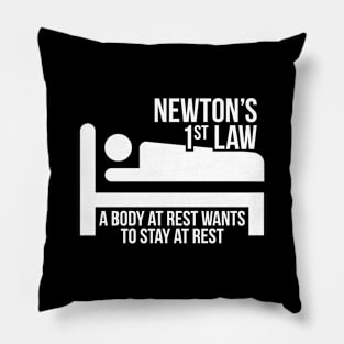 Newton Funny Science Body At Rest Stays At Rest Pillow