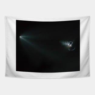 SpaceX Iridium Flight 4 Tapestry