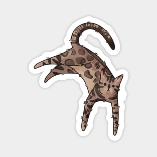 Dark bengal cat Magnet