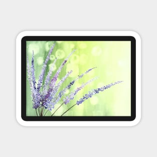 Lovely lavender stalks Magnet