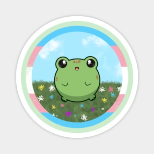 Pride Froggo (Transexual) Magnet