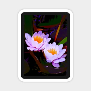 Pond Lily 16 Magnet