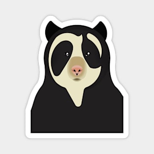 Spectacled bear Magnet