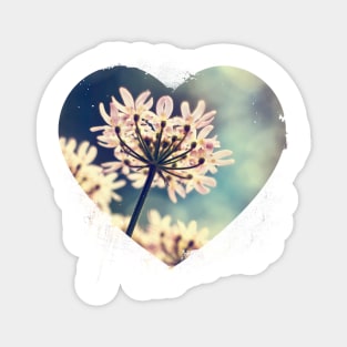 Queen Annes Lace flowers Magnet