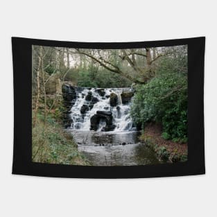 Virginia Water Waterfall Cascade in Surrey, England Tapestry