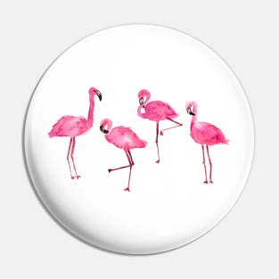 pink flamingos Pin