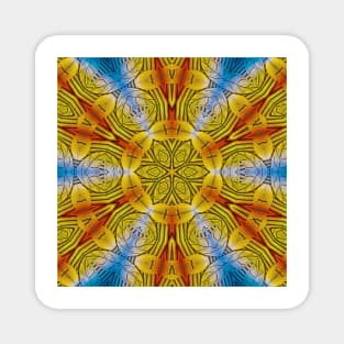 radial inspired by nature rainbow coloured square composition design Magnet