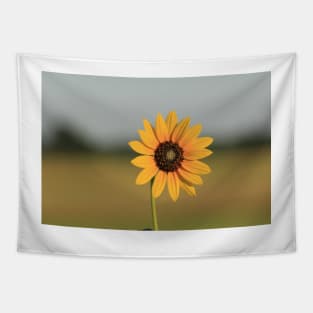 Kansas Wild Sunflower shot closeup Tapestry