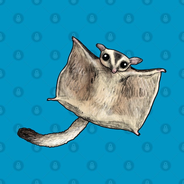 Sugar Glider by Sophie Corrigan