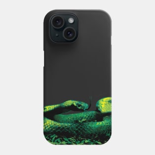 Painted Snake Phone Case