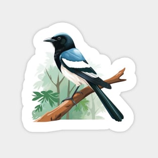 Magpie Magnet