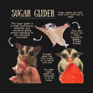 Animal Facts- Sugar Glider T-Shirt