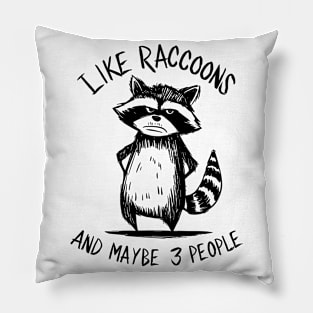 I Like Raccoons And Maybe 3 People | Sarcasm Pillow