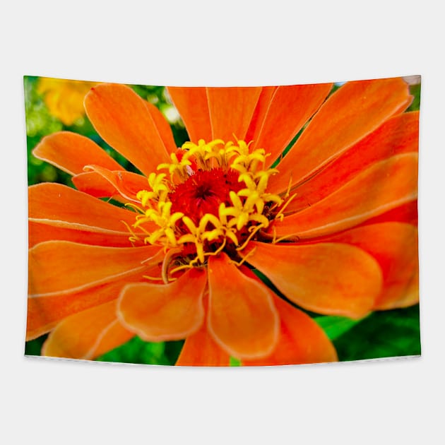 Orange Flower Tapestry by Margo Humphries Art