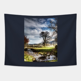 Carperby Yorkshire Dales Stream Tapestry