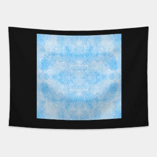 Snowy Sky Tapestry