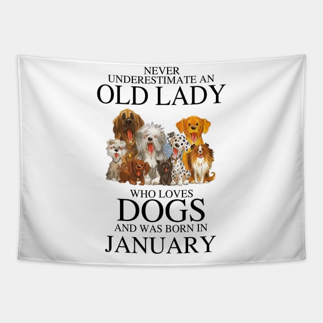 Never Underestimate An Old Lady Who Loves Dogs And Was Born In January Tapestry by louismcfarland