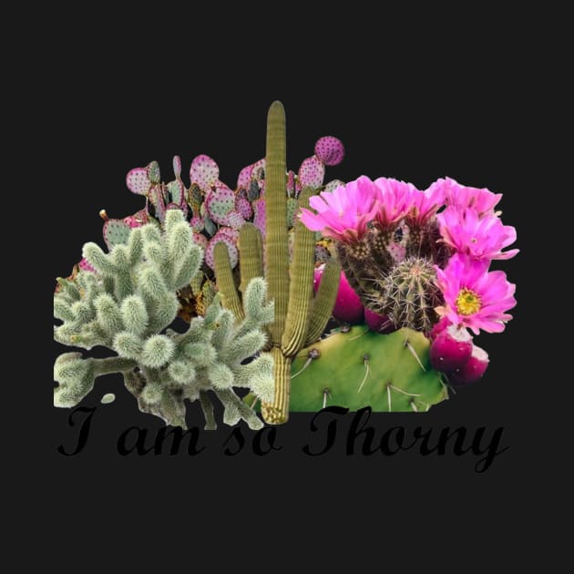 Cactus I Am So Thorny Desert Cacti California by Battlefoxx Living Earth