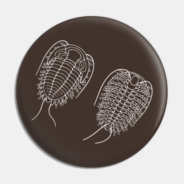 White Line Drawing of Phacopid Trilobite Pin by taylorcustom