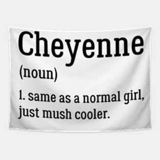 Cheyenne Definition | Definition OF Cheyenne Tapestry