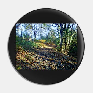 An Autumn Walk Pin