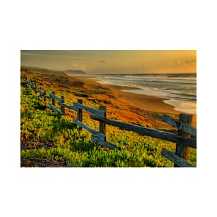 Point Reyes Golden Coast T-Shirt