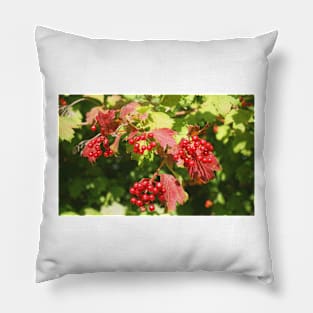 Stour Valley Way: Summer Berries, July 2020 Pillow