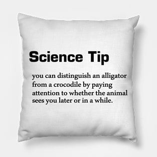 Science Tip - Crocodile Pillow