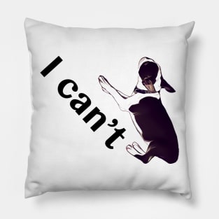 I can't Pillow