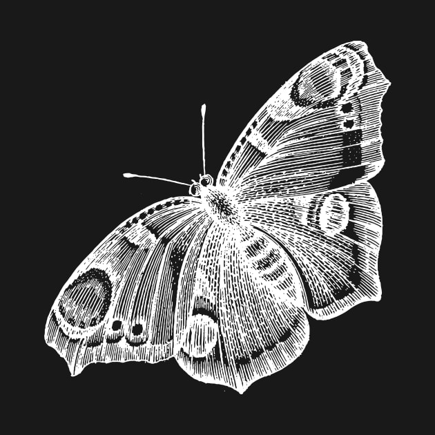 Dramabite Vintage butterfly illustration by dramabite