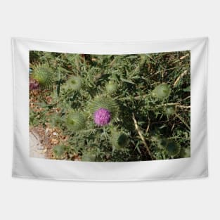 Thistle Bloom Tapestry