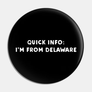 Delaware Cool & Funny Pin