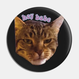 Hey babe tabby cat funny meme Pin