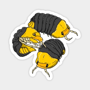 Isopod Rubber Ducky Magnet