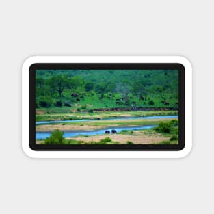 A Couple of Hippos and a Herd of Elephants on the Crocodile River Magnet