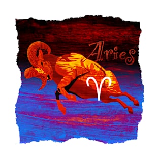 Aries T-Shirt