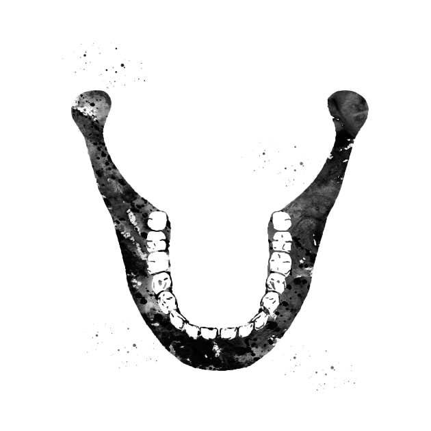 Human Jaw Skeleton by erzebeth