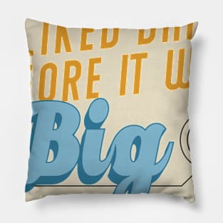 I Liked Data Before it Was Big Pillow