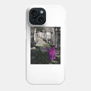 Bai Ze in the Graveyard Phone Case