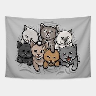 KITTENS Tapestry