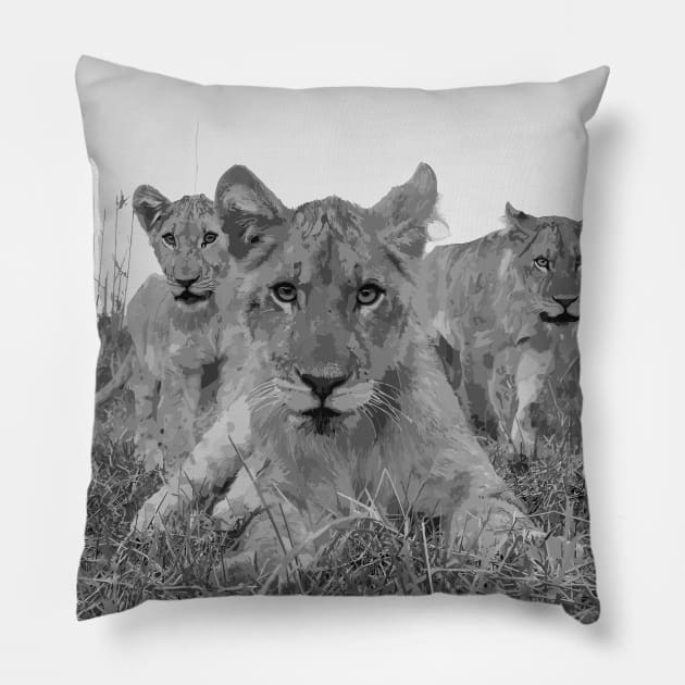 Zambia lions Pillow by TomFrontierArt