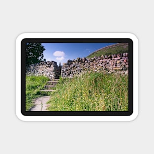 Stone Walls and Wildflowers at Muker Yorkshire Dales Magnet