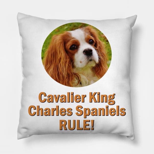 Cavalier King Charles Spaniels Rule! Pillow by Naves